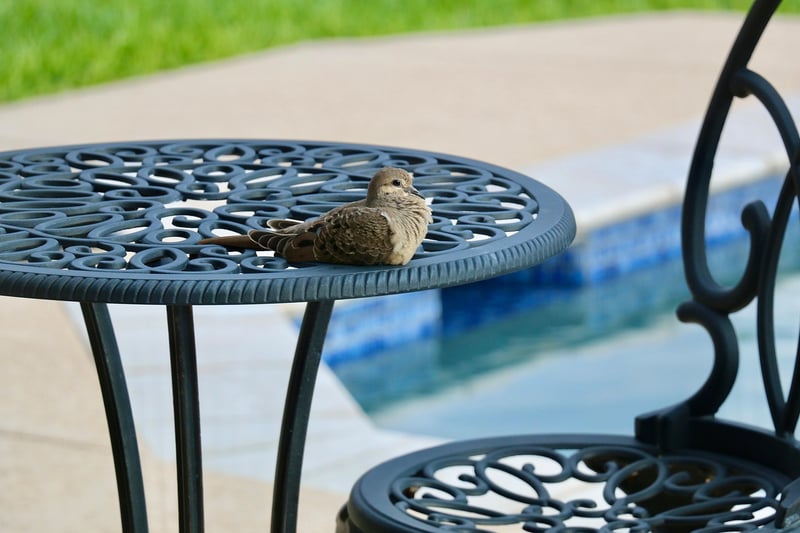 Patio gardening